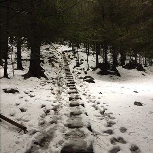 Meet your Posher, Magaret anne